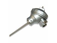RTD sensor